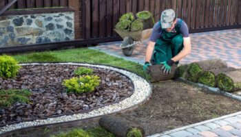 Landscaping Company In Scottsdale Arizona