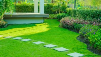 Landscape Design In Scottsdale Arizona