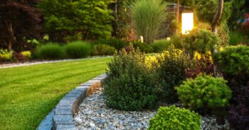 Landscaping In Phoenix Arizona