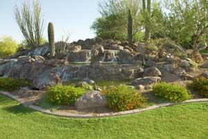 Landscape Contractor Scottsdale