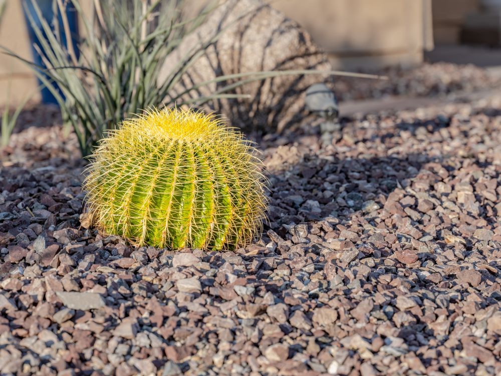 Landscape Designer Near Me Cave Creek Az