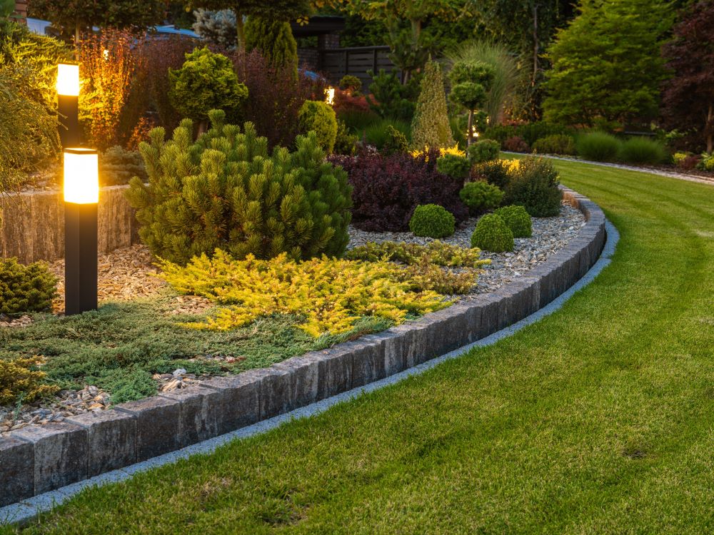 Landscape Lighting Installation Near Me Paradise Valley Az